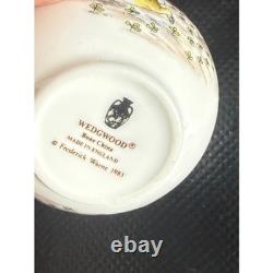 Wedgwood Peter Rabbit Miniature Tea Set Bone China England 1983 Beatrix Potter