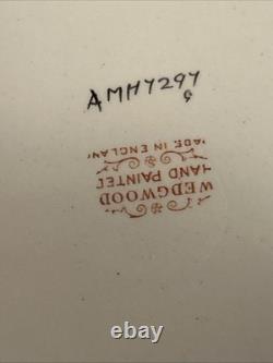 Wedgwood Vintage Dessert Service 12 Plates & 8 Cup/saucer Sets RARE PATTERN MINT