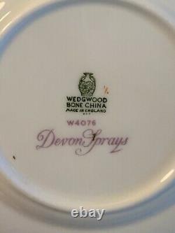 Wedgwood Vintage Devon Sprays Bone China SET of SIX 5-piece place settings-30pcs