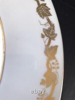 Wedgwood Whitehall (6) Dinner Plates 10.75 White Gold Grapevine Fine Bone China